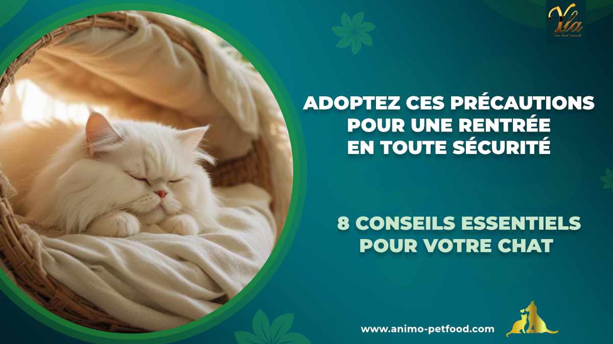 Adoptez ces précautions pour une rentrée en toute sécurité avec 8 conseils essentiels pour protéger votre chat à la maison